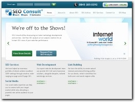 http://www.seoconsult.com/ website