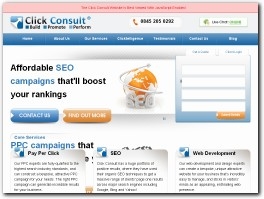 http://www.clickconsult.com website