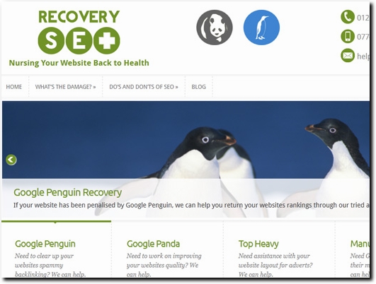 http://www.recoveryseo.com/ website