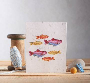 Greetings cards product photography