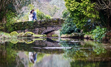 Professional Wedding Photographer