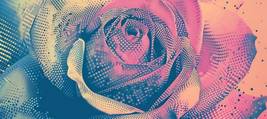 The Golden Ratio in Modern Design: A Wondrous Journey Through Aesthetic Perfection