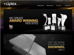 https://www.coplex.com/ website