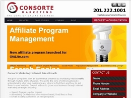 https://www.consortemarketing.com/ website