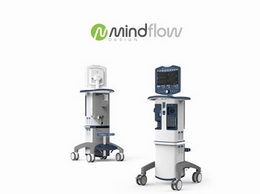 https://www.mindflowdesign.com/ website