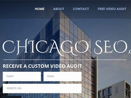 https://www.chicagoseo.company/ website
