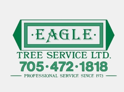 https://www.eagletreeservice.ca/ website