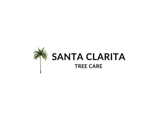 https://santaclaritatreecare.com/ website
