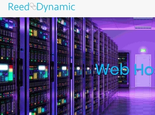 https://reeddynamic.com website